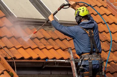 Démoussage et hydrofuge de toiture à Ruages